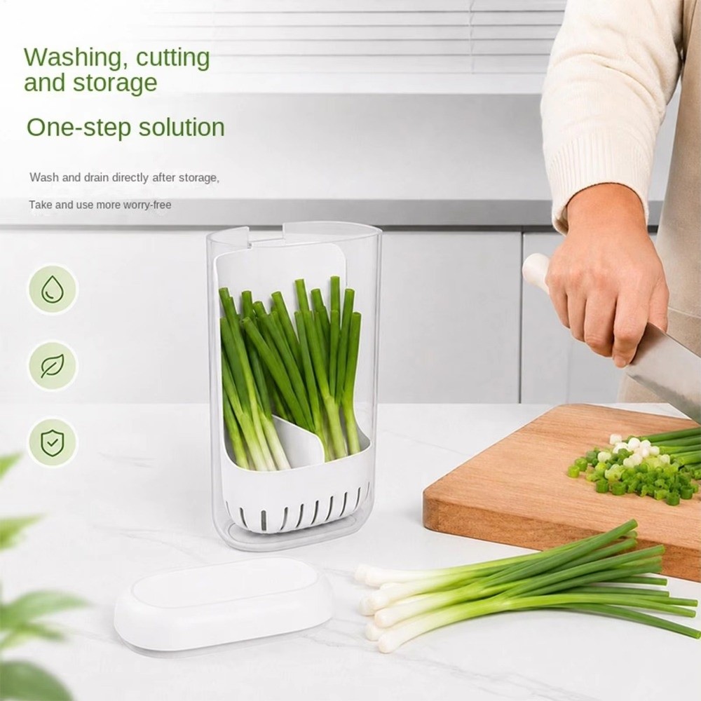 Herb Keeper Container - Clear Cilantro Hydroponic Box Upright Preservation