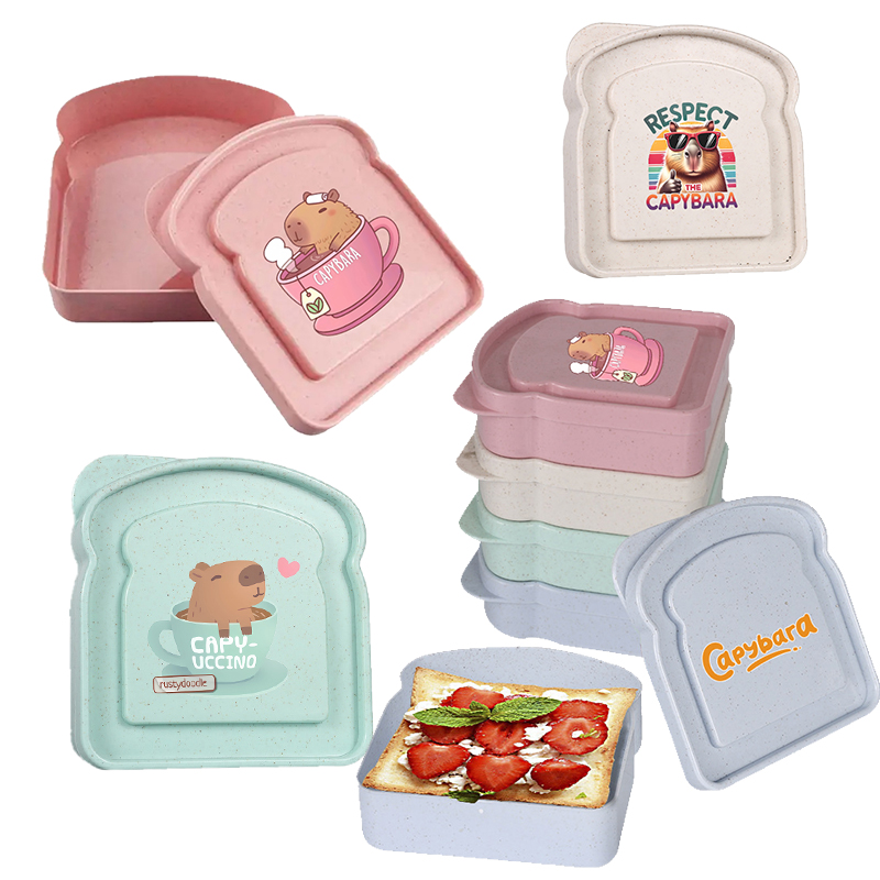 Capybara Sandwich Food Storage - огляд і ціна Food Storage For Room