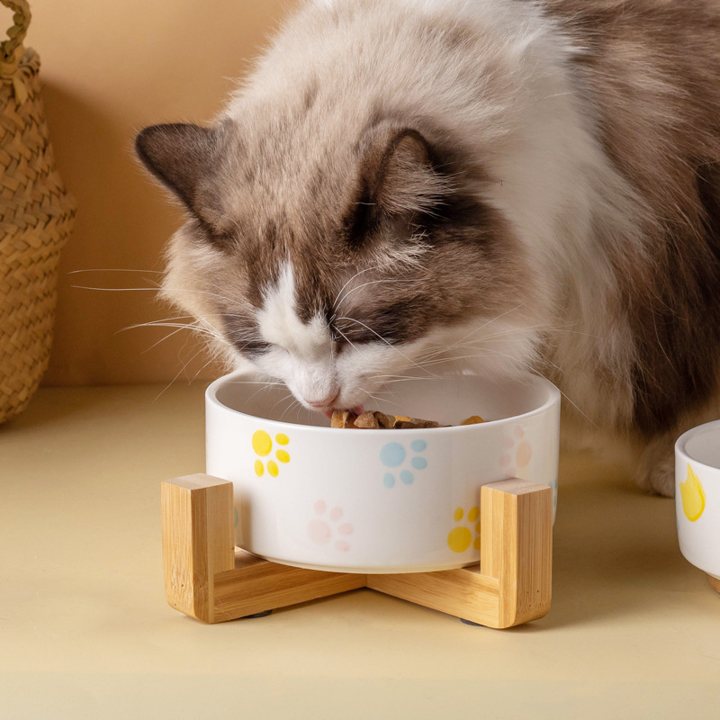 Ceramics Dog Bowl with Wood Ma - огляд і ціна Food Storage Safety
