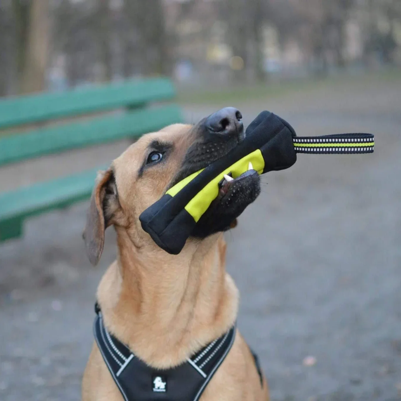 Truelove Dog Training Retrieve - огляд і ціна Food Storage Zipper Bags