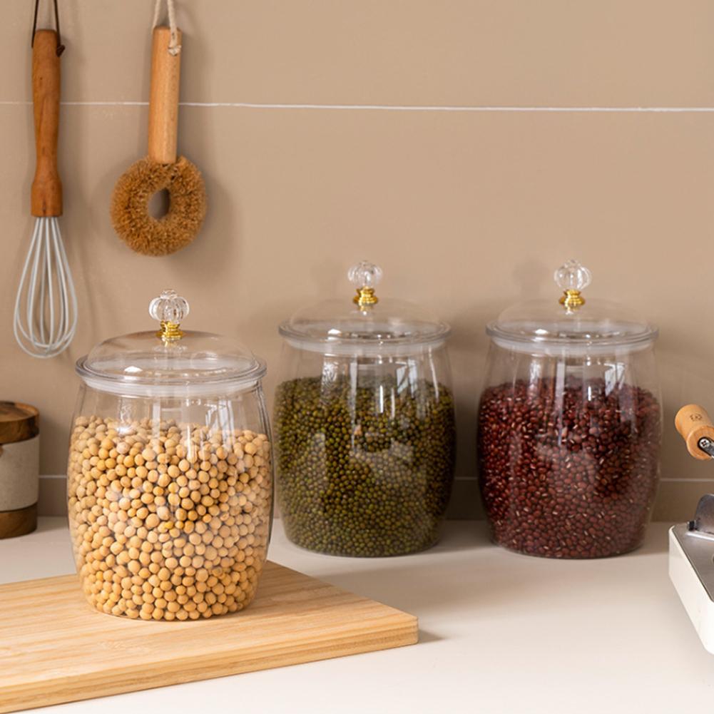 Large Transparent Plastic Seal - огляд і ціна Food Storage Plastic Container